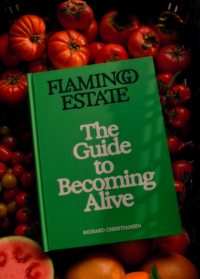 Flamingo Estate The Guide to Becoming Alive