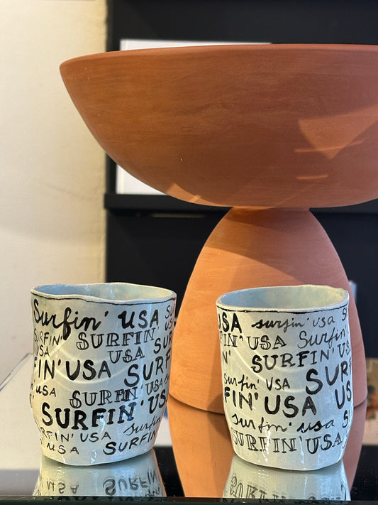 Surfin’ USA the English boys x Noëlle