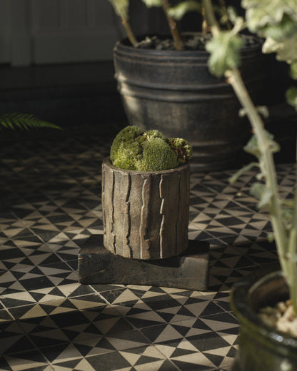Kelly wearstler x Serax garden pot
